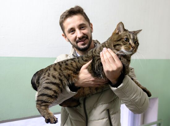 Владелец кота Виктора может стать акционером "Аэрофлота"