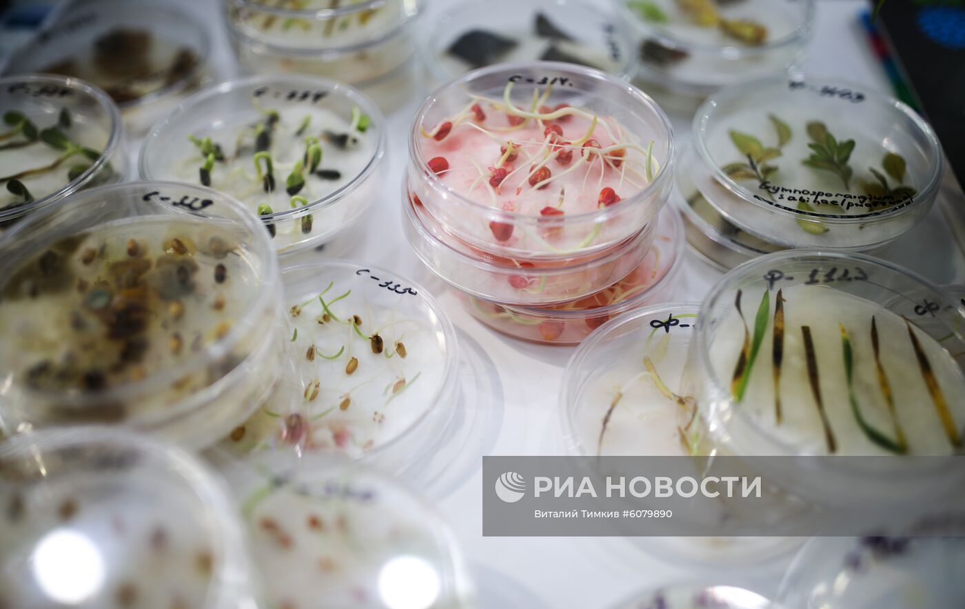 Международная сельскохозяйственная выставка "ЮгАгро-2019"