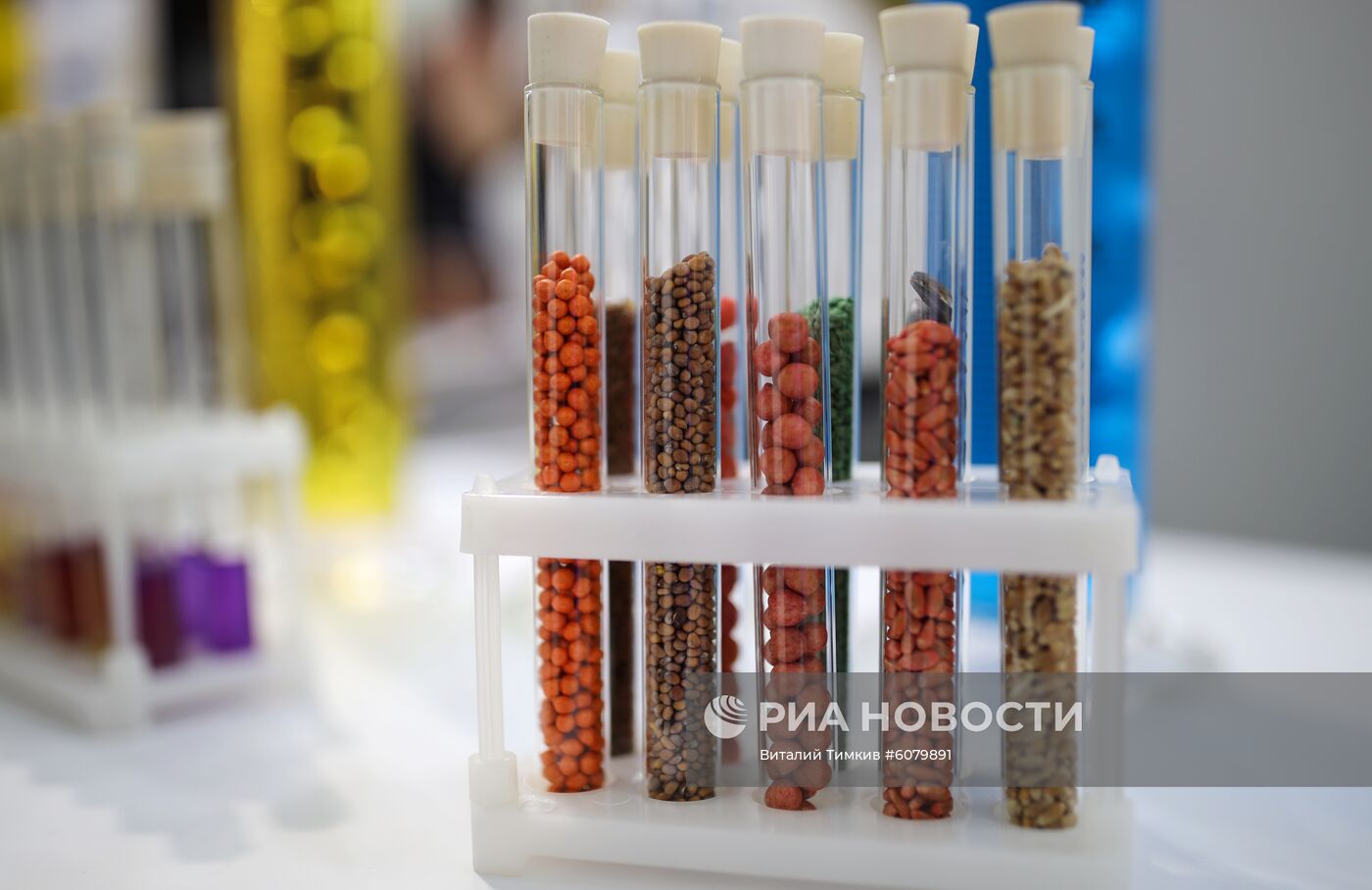 Международная сельскохозяйственная выставка "ЮгАгро-2019"