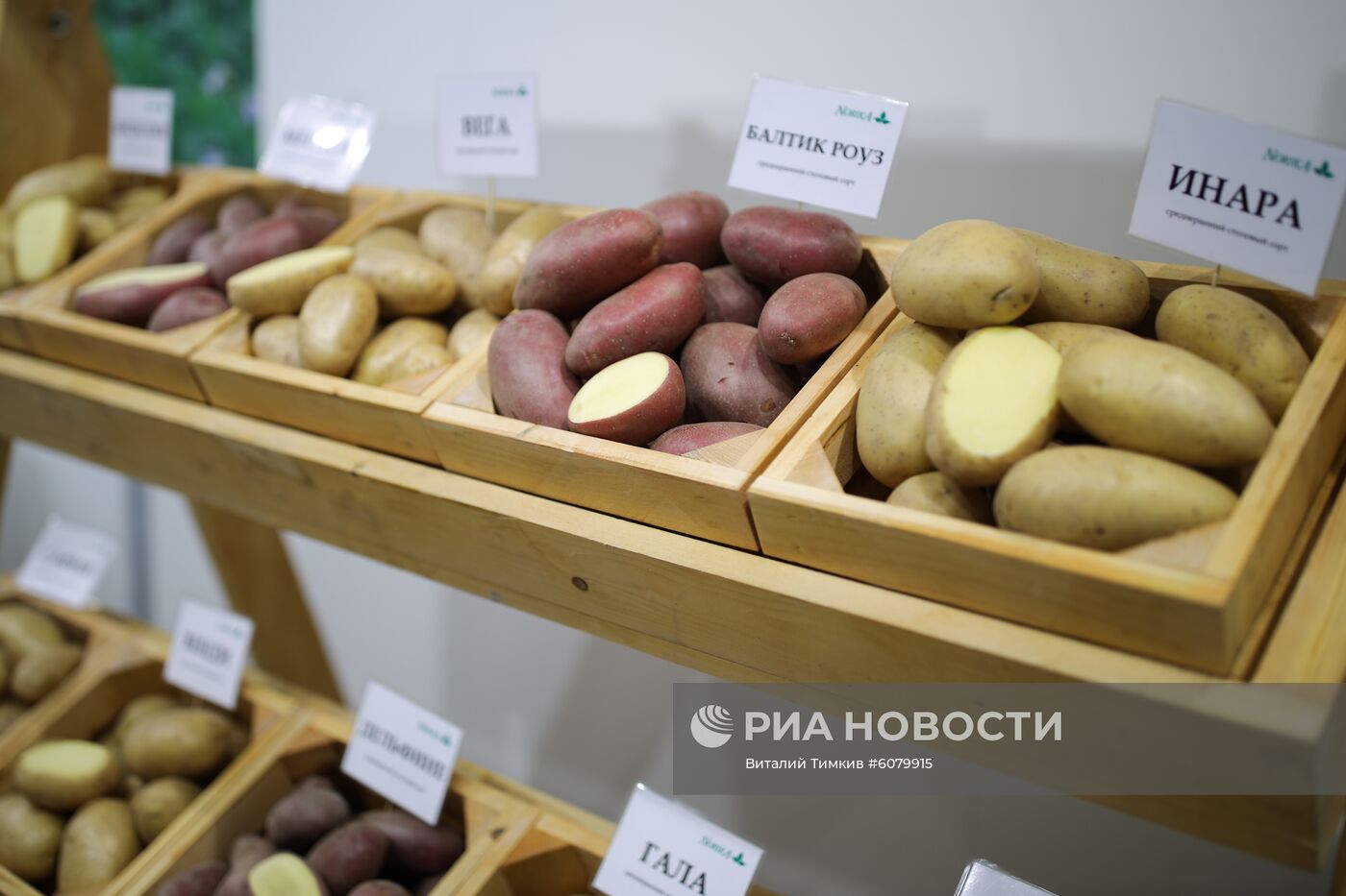 Международная сельскохозяйственная выставка "ЮгАгро-2019"
