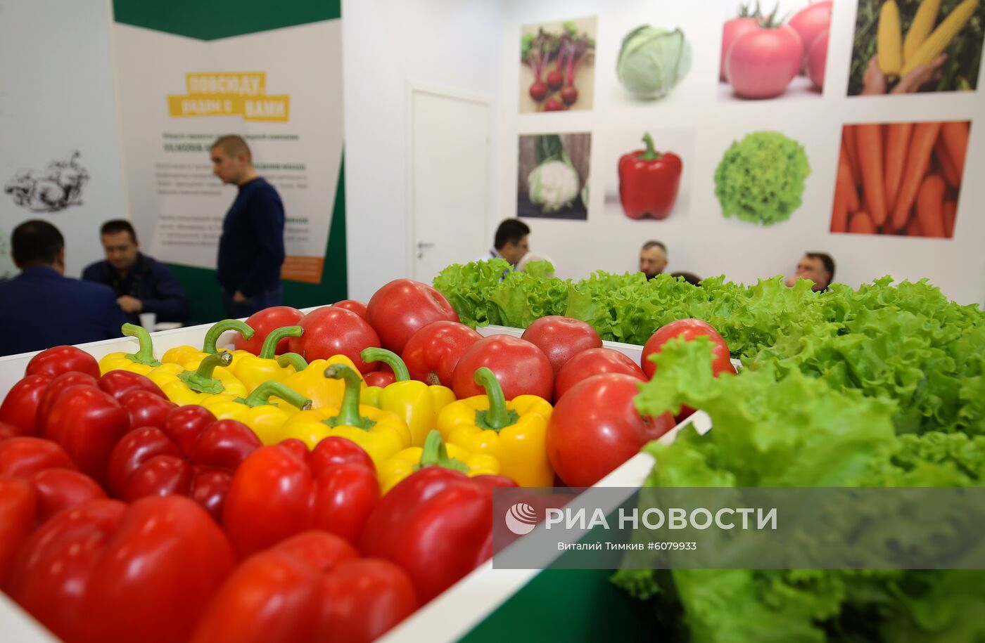 Образцы овощей на Международной сельскохозяйственной выставке "ЮгАгро-2019" в Краснодаре. Место: Россия, Краснодар. Автор: Виталий Тимкив/РИА Новости. Международная сельскохозяйственная выставка "ЮгАгро-2019"