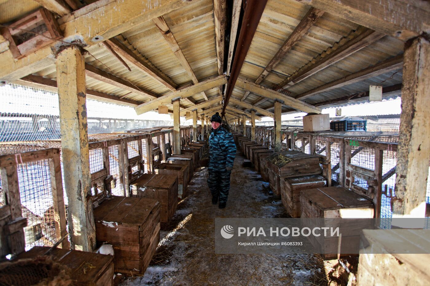 Зверохозяйство "Большереченское" в Иркутской области