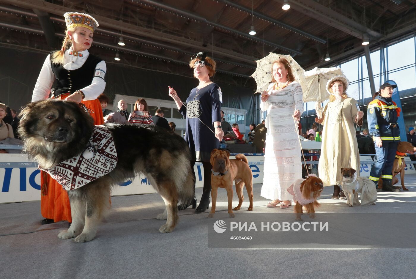Международная выставка собак в Москве