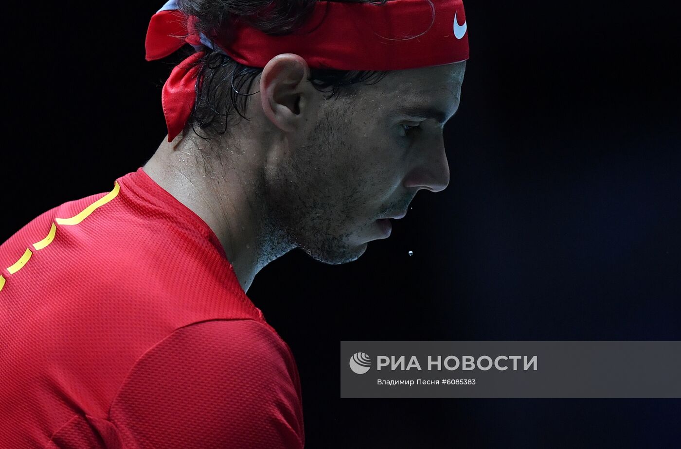 Теннис. Кубок Дэвиса 2019. Финальный турнир. Финал