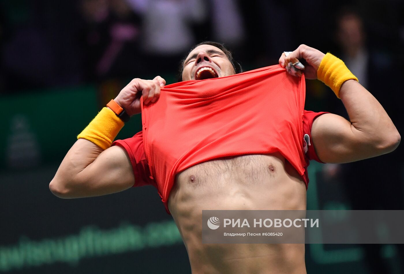 Теннис. Кубок Дэвиса 2019. Финальный турнир. Финал