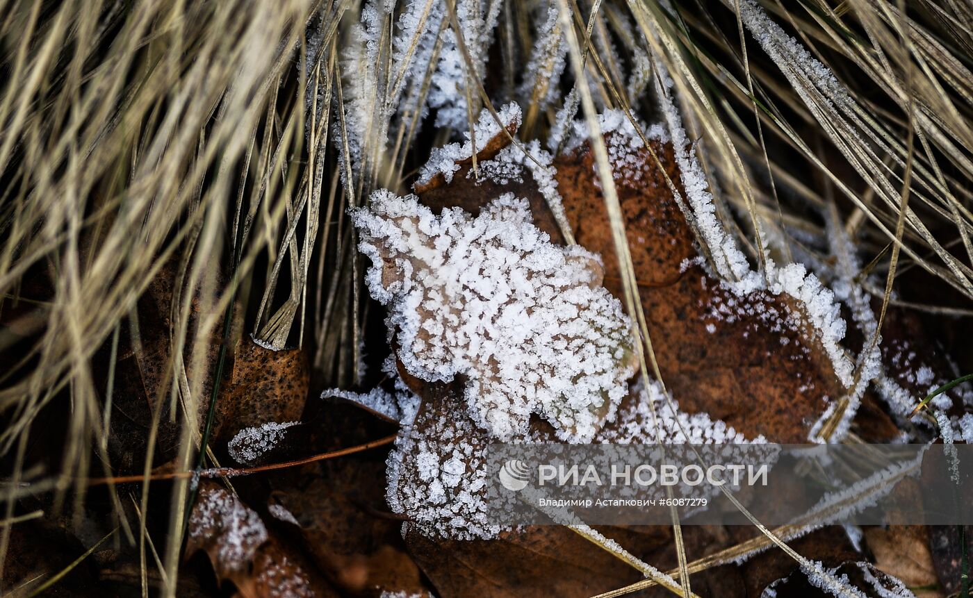 Повседневная жизнь