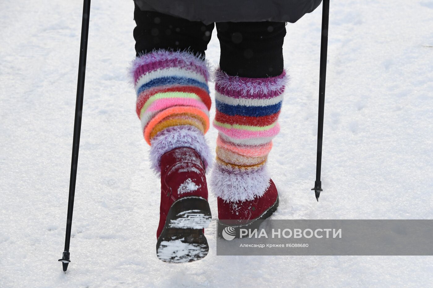 Занятия скандинавской ходьбой в Новосибирске 