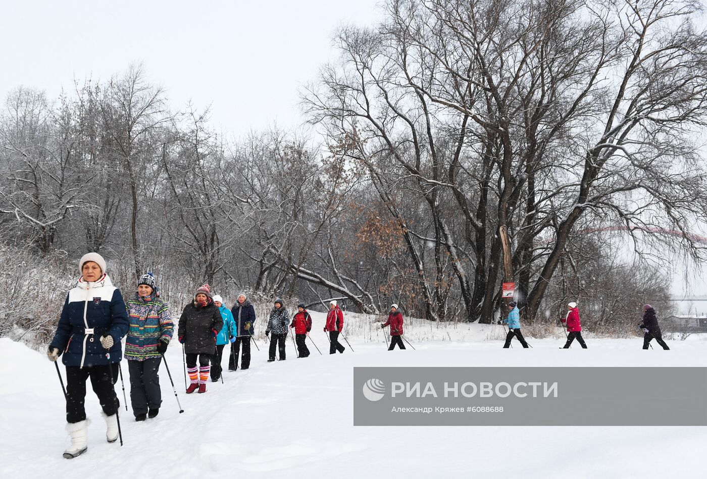 Занятия скандинавской ходьбой в Новосибирске 