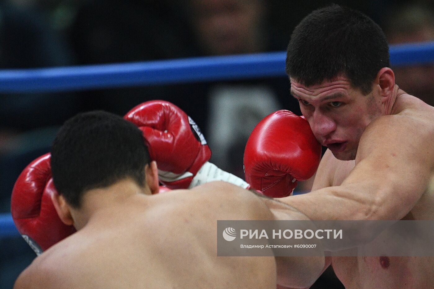 Бокс. Бой А. Емельяненко и М. Кокляева