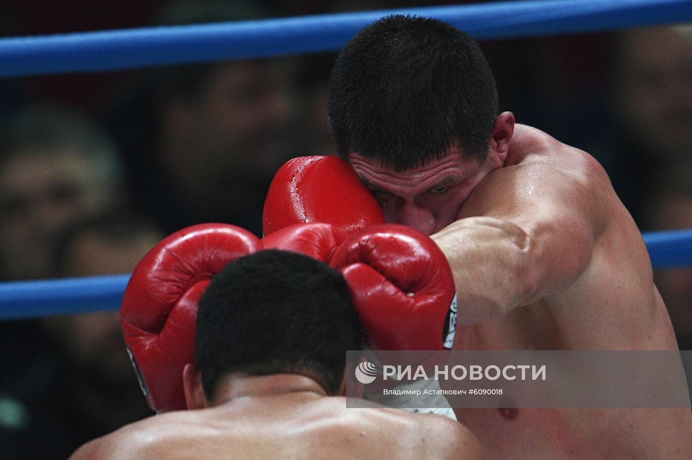 Бокс. Бой А. Емельяненко и М. Кокляева