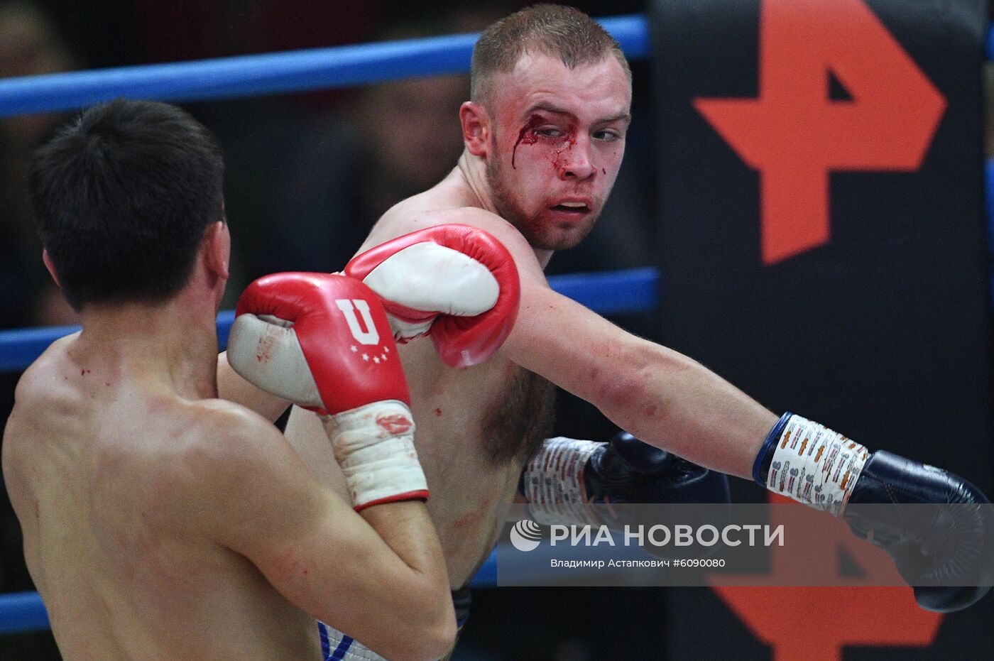 Бокс. Бой А. Емельяненко и М. Кокляева