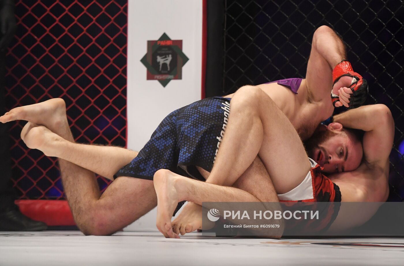 Турнир FMR Fighting Championship