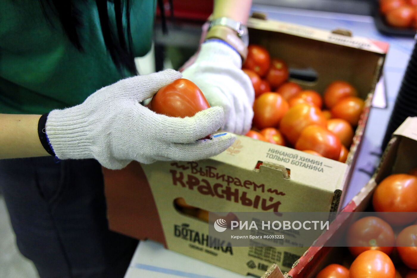 Тепличный комплекс в Волгоградской области