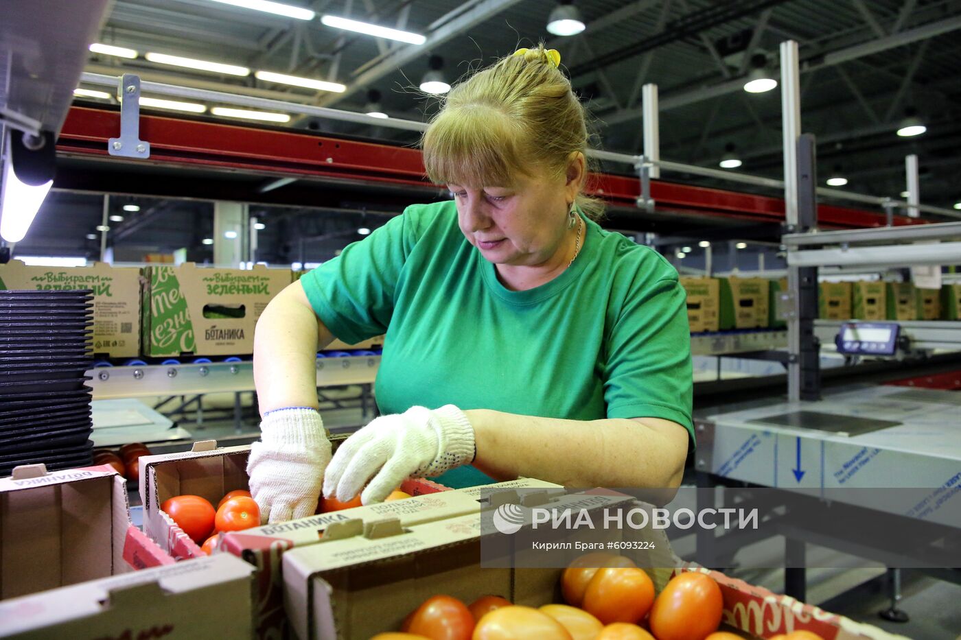 Тепличный комплекс в Волгоградской области