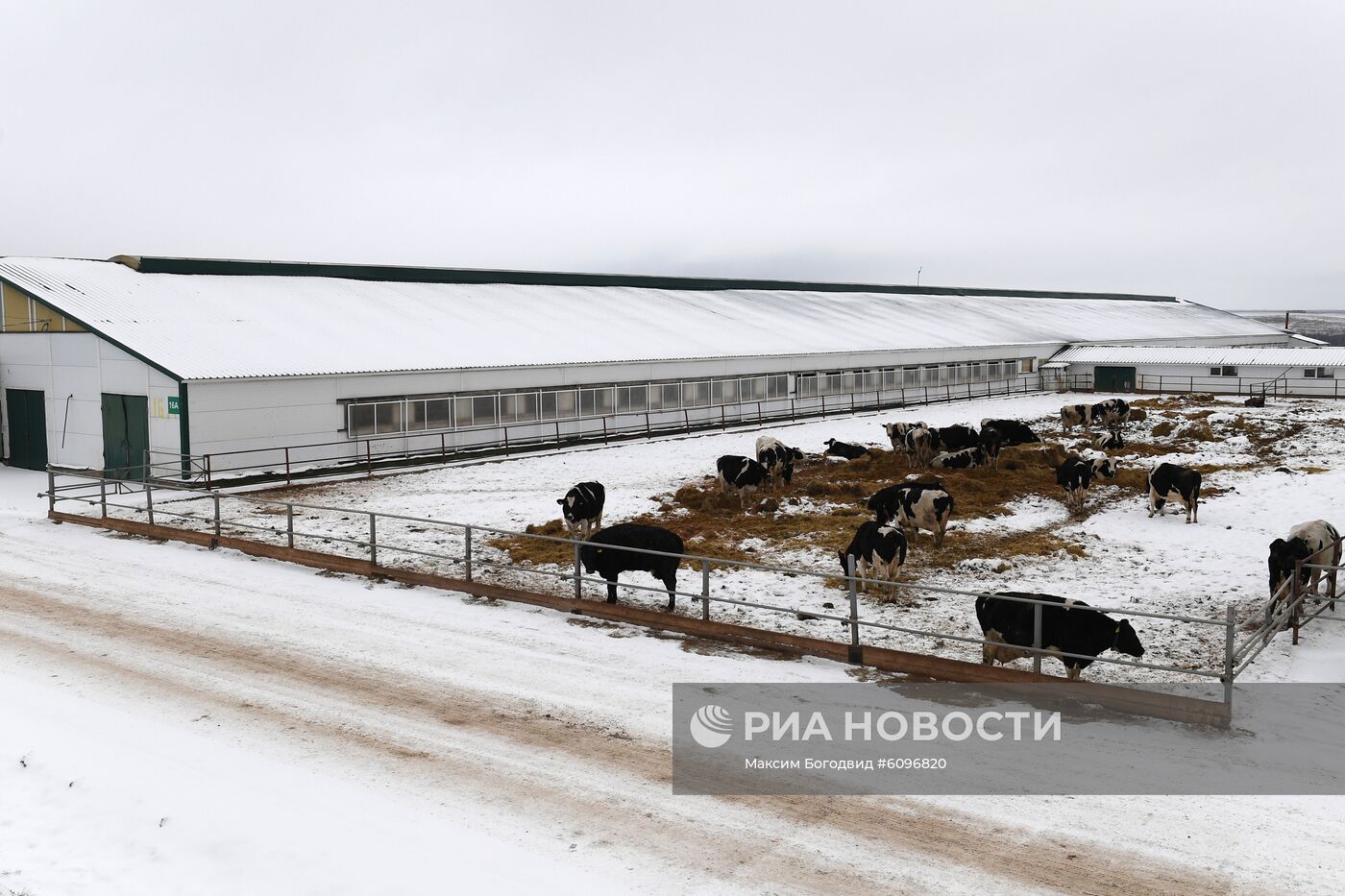 Работа смарт-фермы в Татарстане