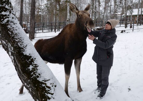 Спасенные животные в зоопарке "Роев ручей"