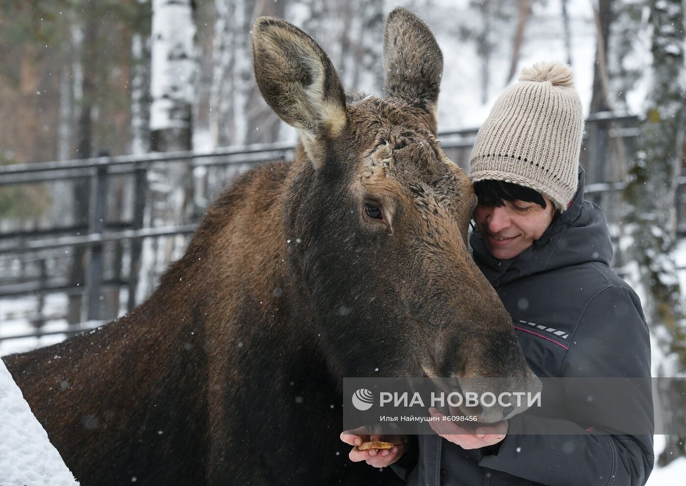 Спасенные животные в зоопарке "Роев ручей"