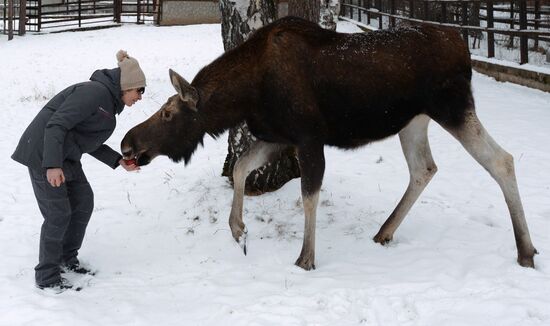 Спасенные животные в зоопарке "Роев ручей"