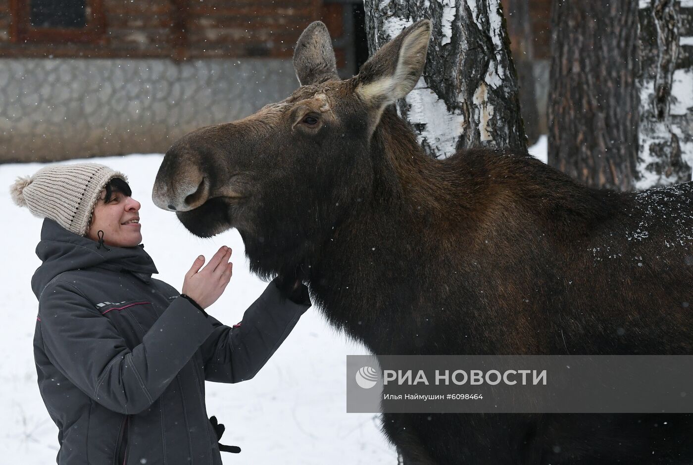 Спасенные животные в зоопарке "Роев ручей"