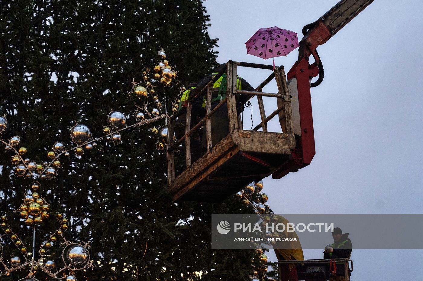 Установка главной новогодней ёлки на Дворцовой площади в Санкт-Петербурге