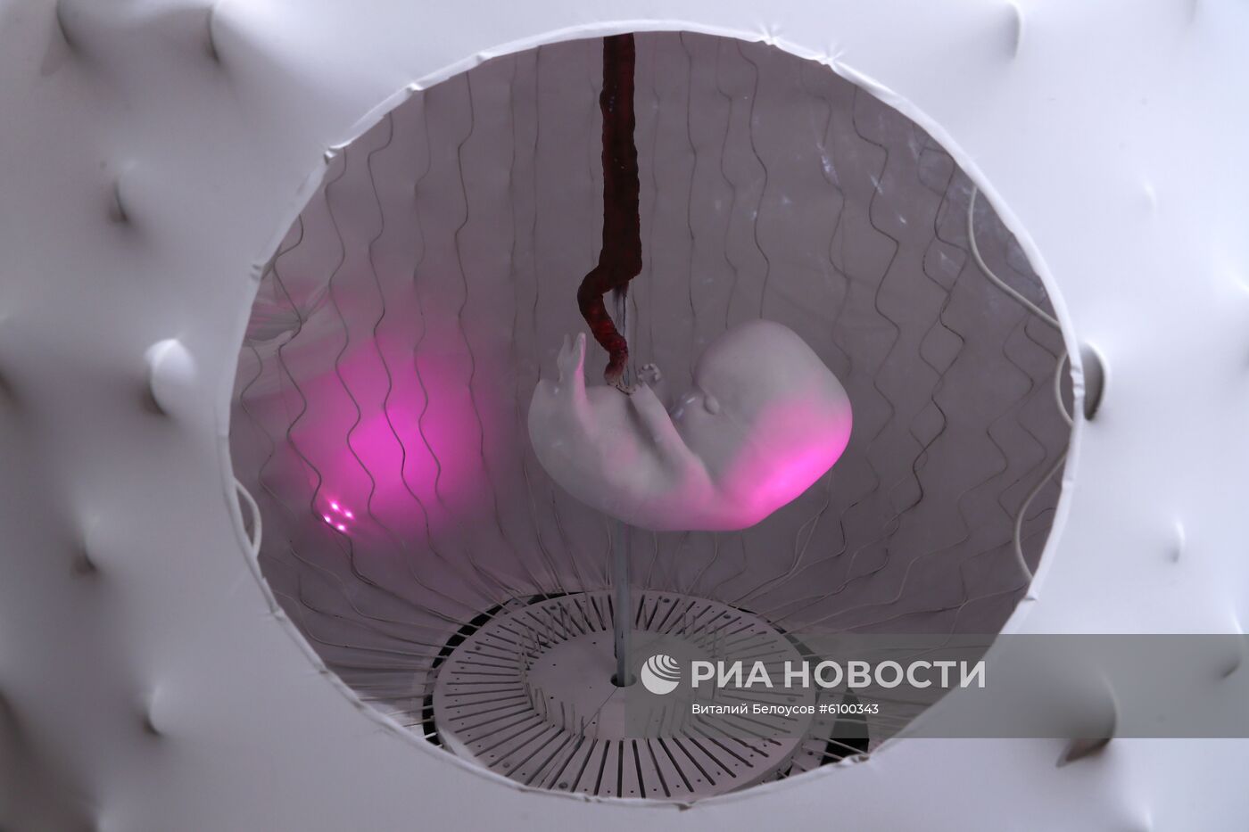 Выставка предметов для интерьера "Трын*Трава: современный русский стиль"