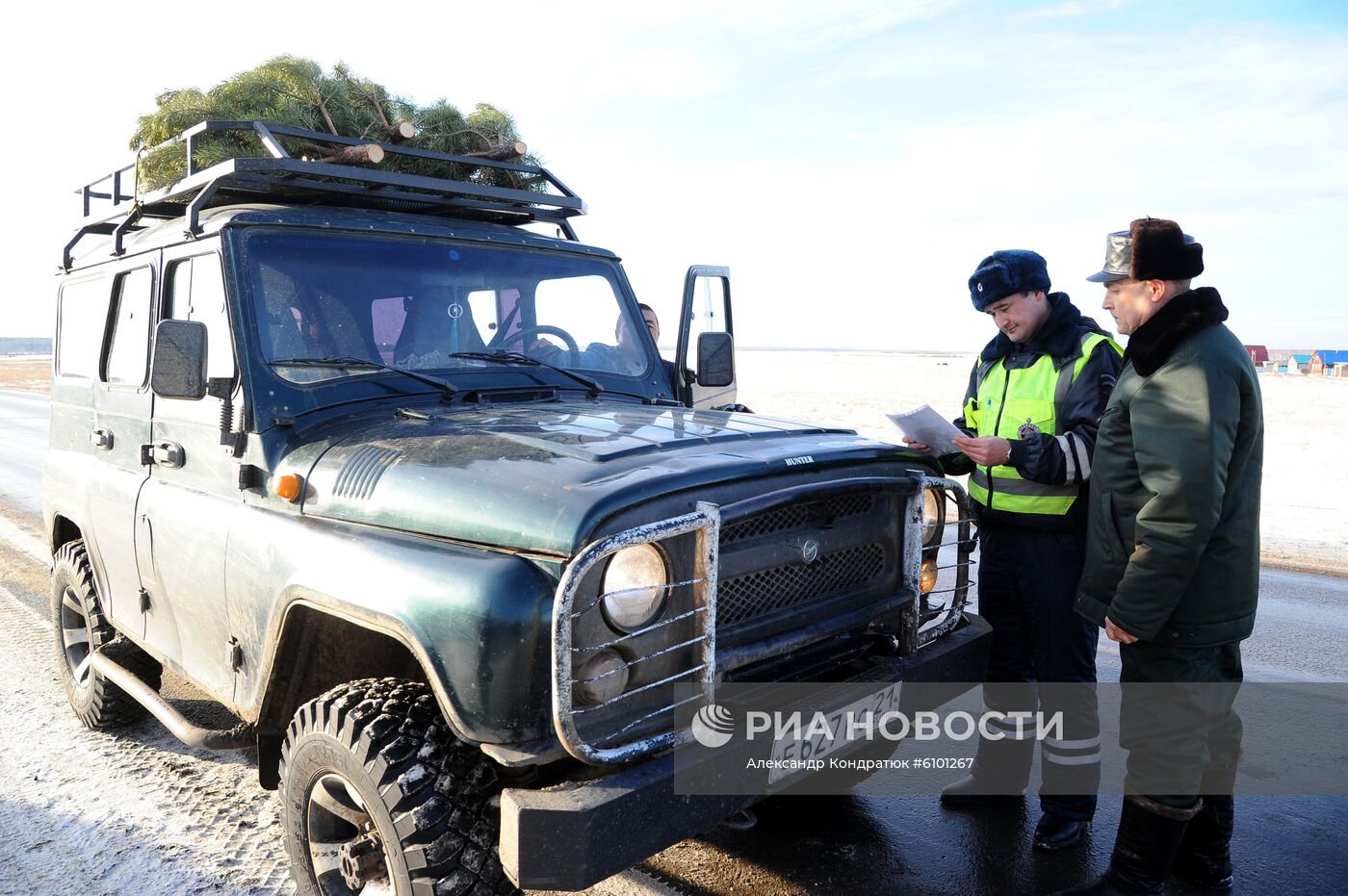 Рейд по защите хвойных деревьев от незаконных рубок