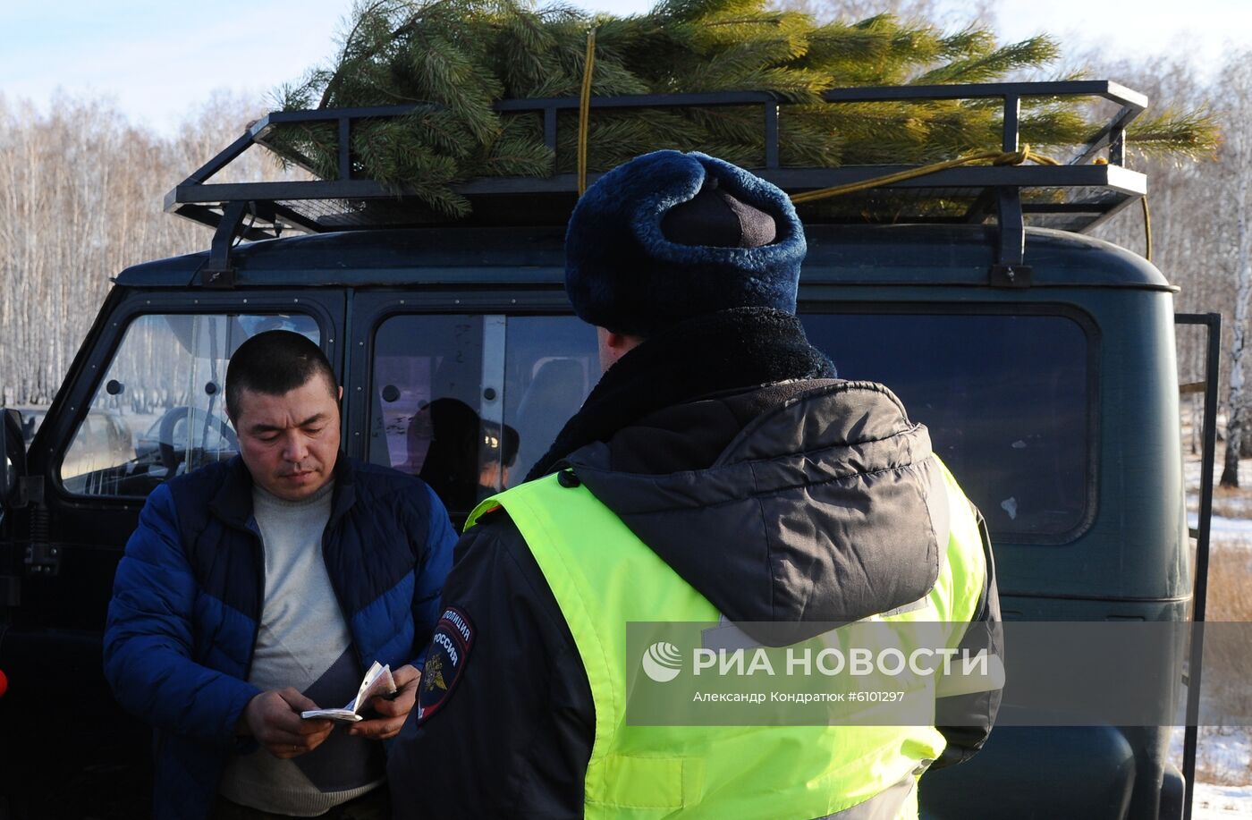 Рейд по защите хвойных деревьев от незаконных рубок 