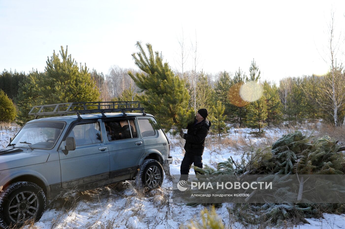 Рейд по защите хвойных деревьев от незаконных рубок 