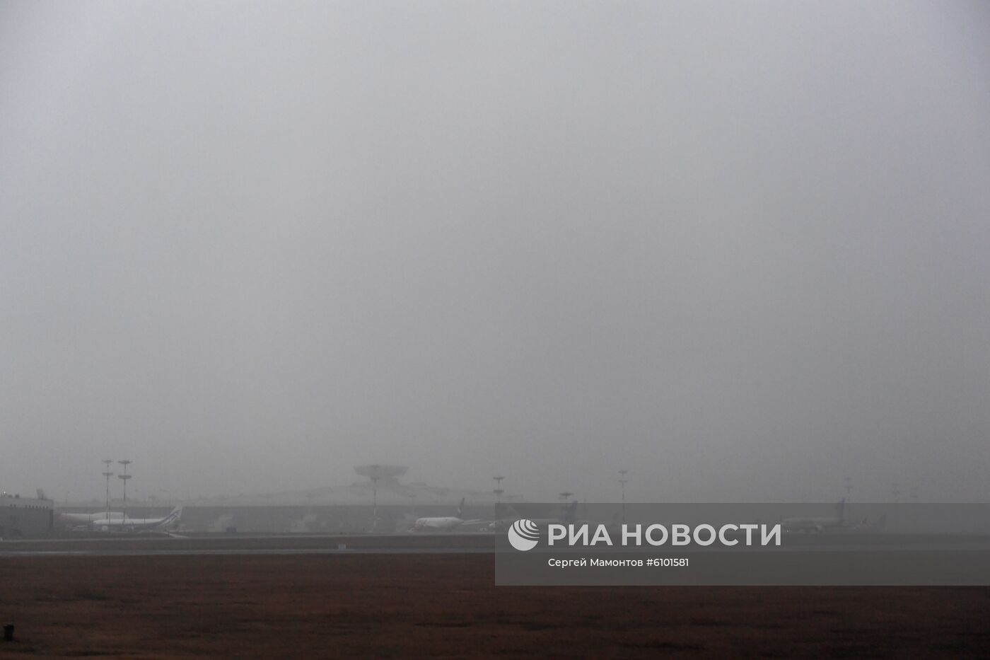Самолеты в аэропорту Внуково 