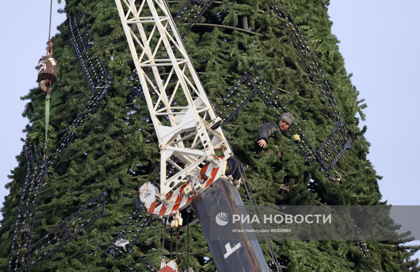 Установка главной новогодней елки в Красноярске