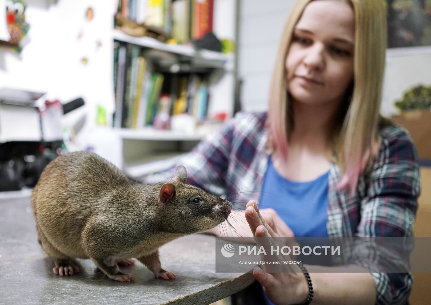 Символ Нового 2020 года