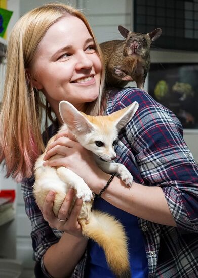 Символ Нового 2020 года