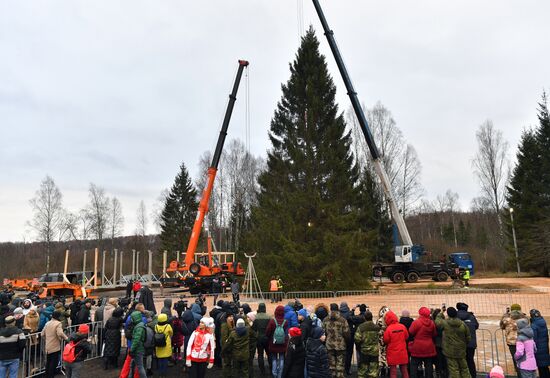 Рубка главной новогодней елки страны в Московской области