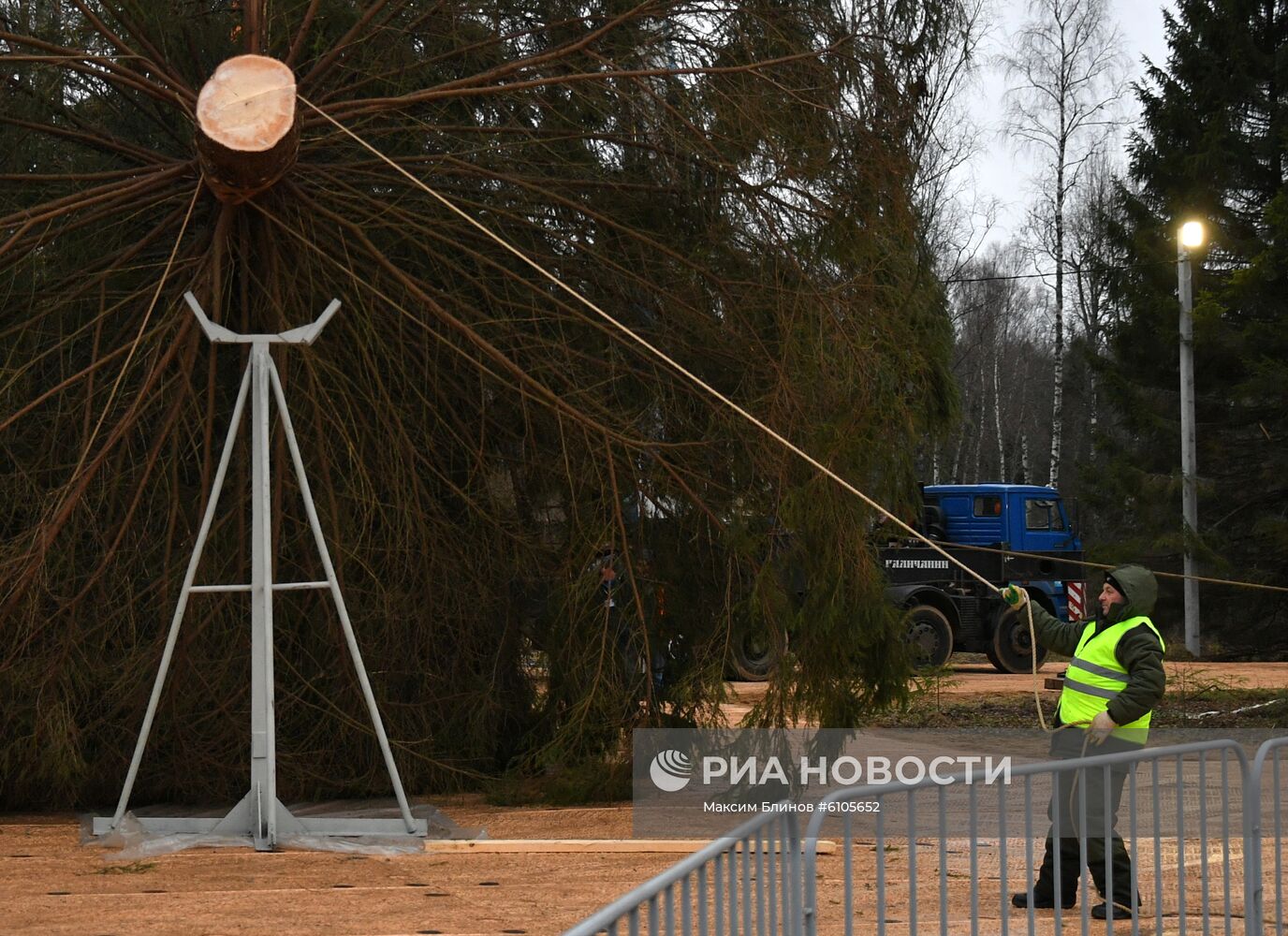 Рубка главной новогодней елки страны в Московской области