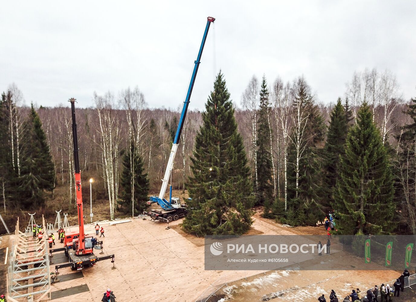 Рубка главной новогодней елки страны в Московской области