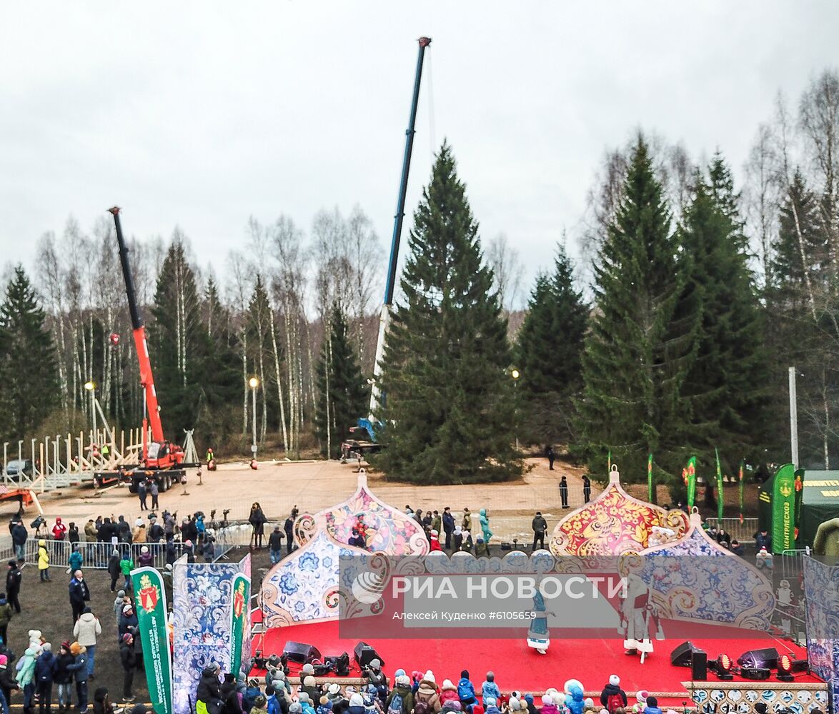 Рубка главной новогодней елки страны в Московской области