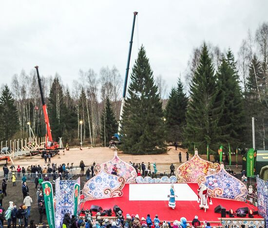 Рубка главной новогодней елки страны в Московской области