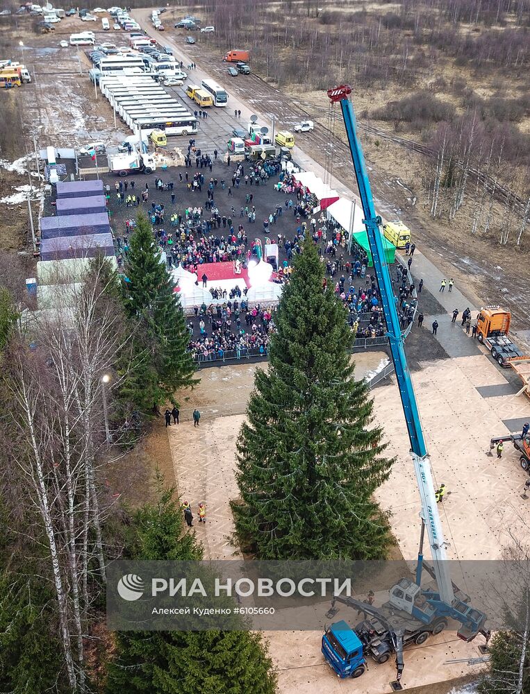 Рубка главной новогодней елки страны в Московской области