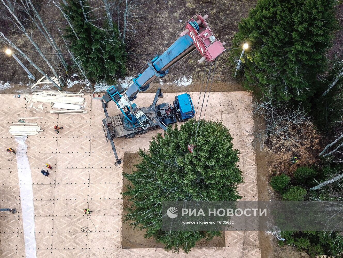 Рубка главной новогодней елки страны в Московской области