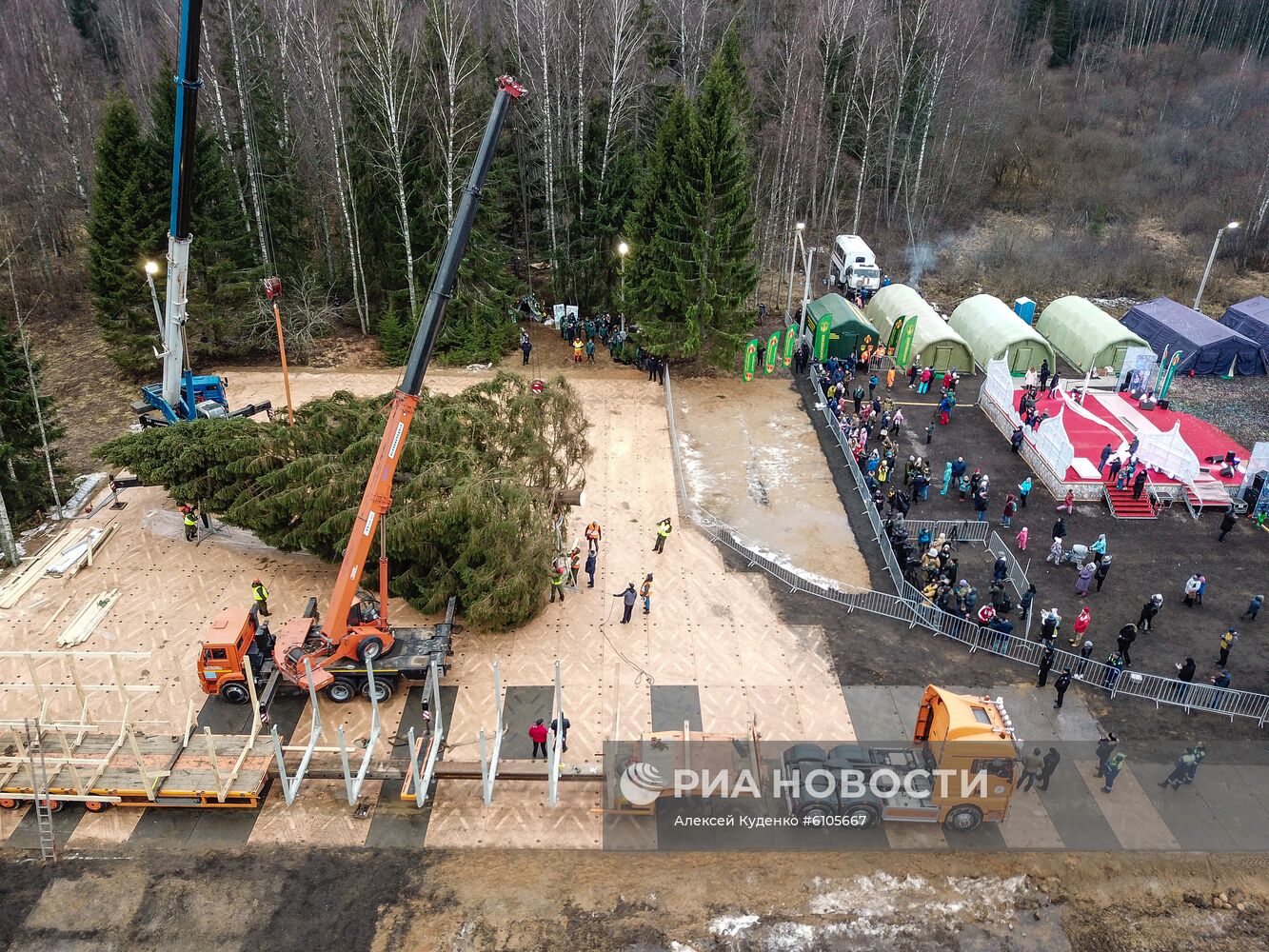 Рубка главной новогодней елки страны в Московской области