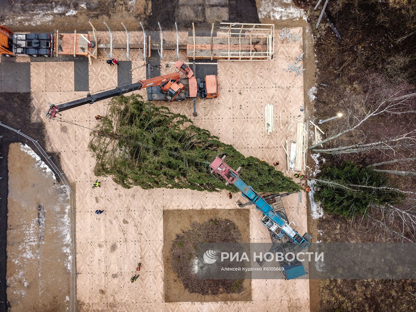 Рубка главной новогодней елки страны в Московской области