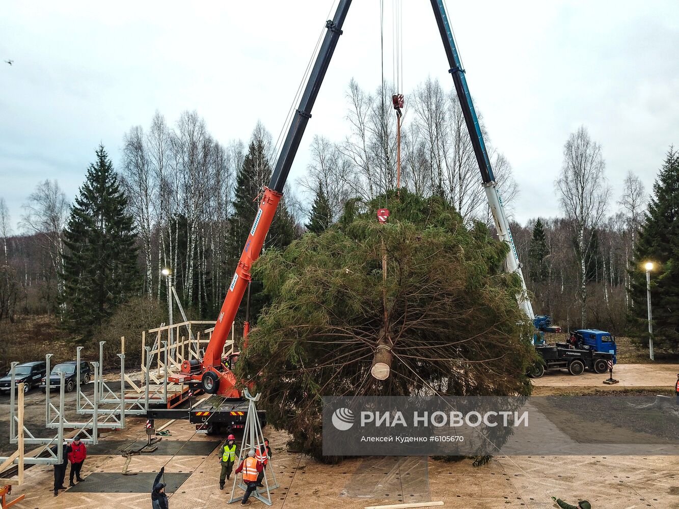 Рубка главной новогодней елки страны в Московской области