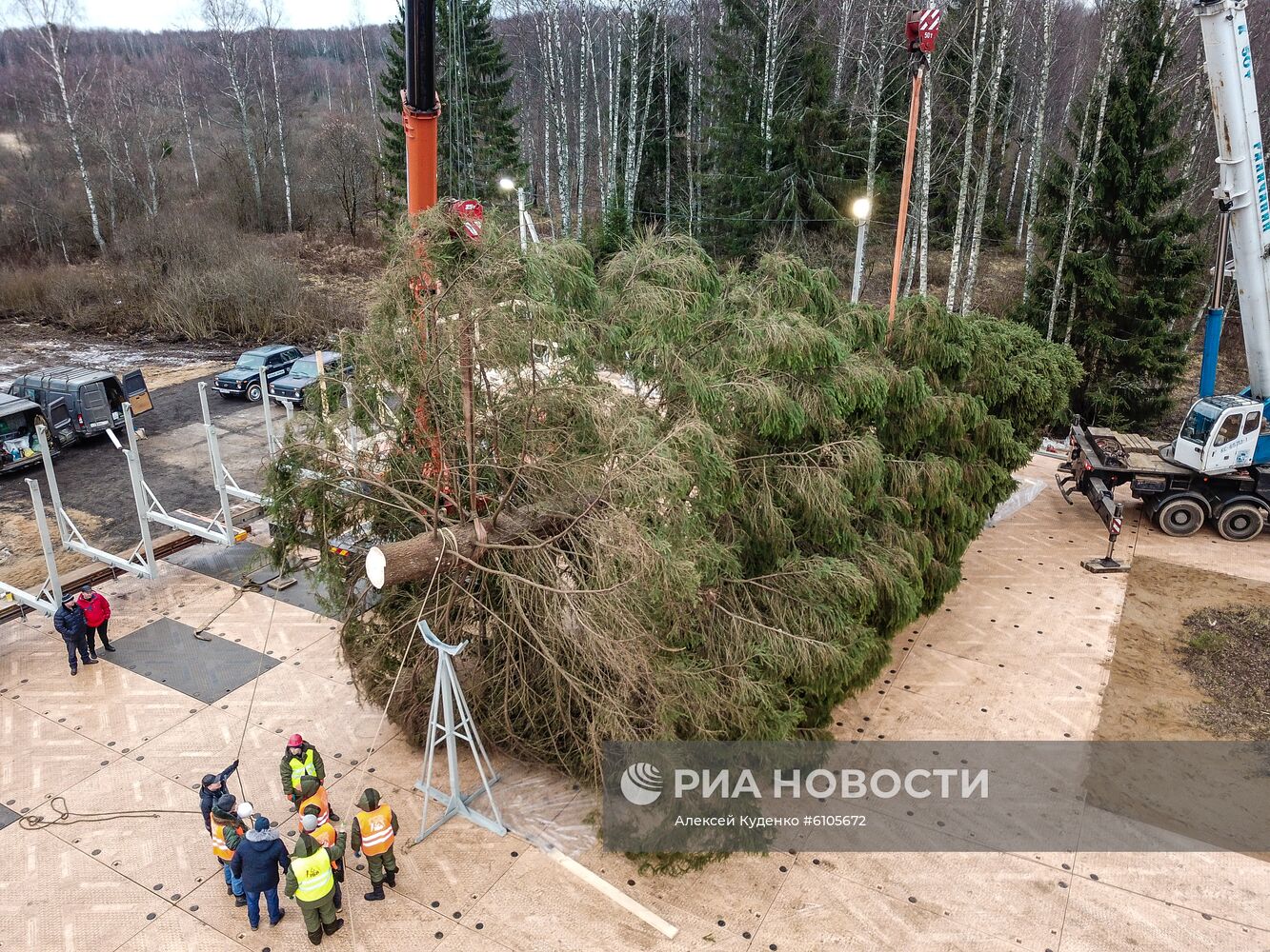 Рубка главной новогодней елки страны в Московской области