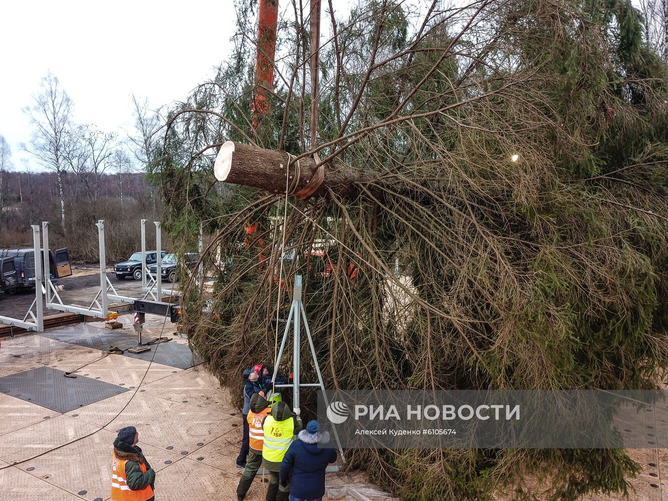 Рубка главной новогодней елки страны в Московской области