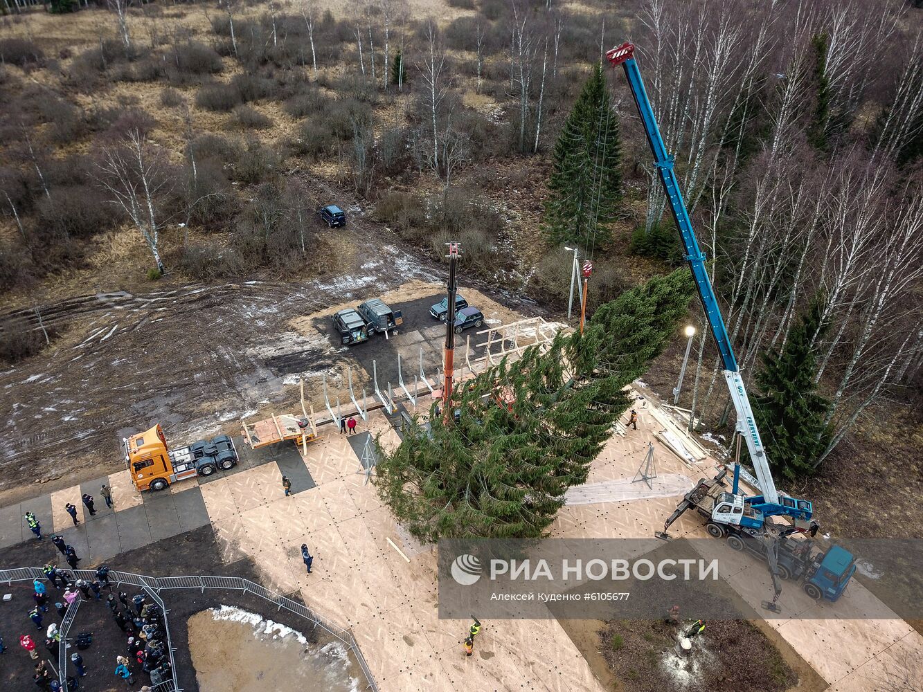 Рубка главной новогодней елки страны в Московской области