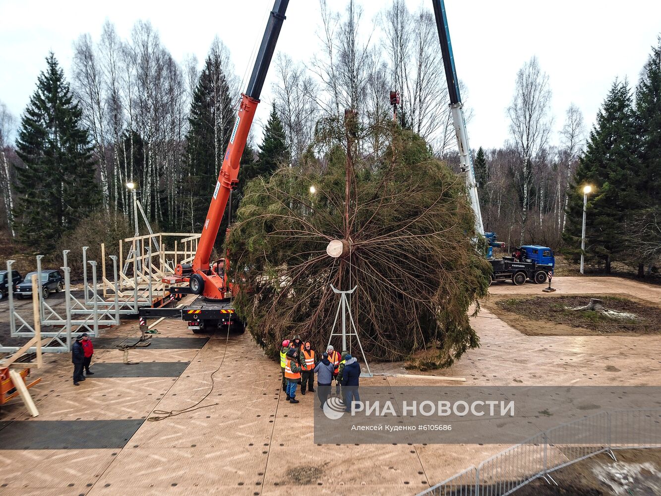 Рубка главной новогодней елки страны в Московской области