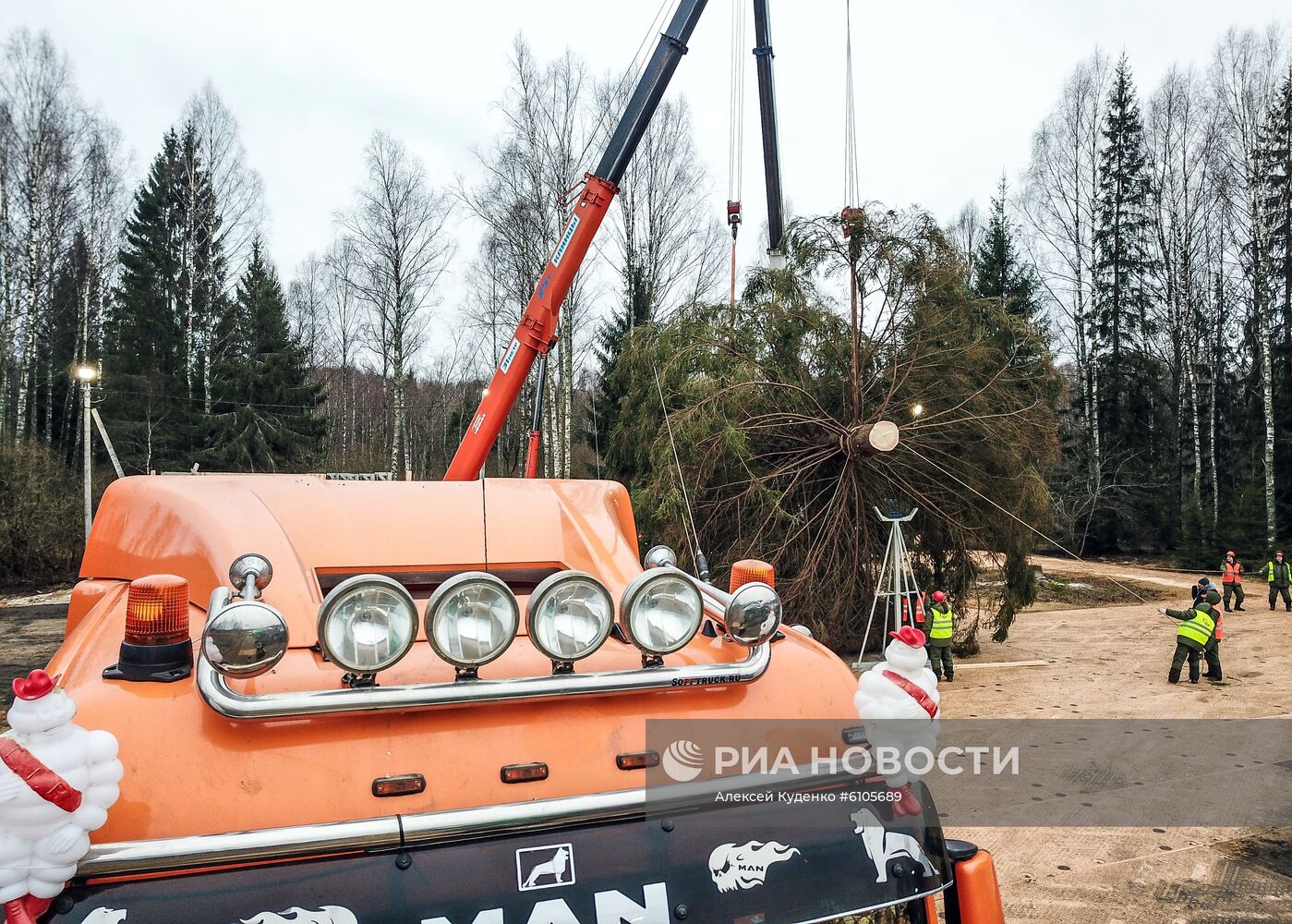 Рубка главной новогодней елки страны в Московской области