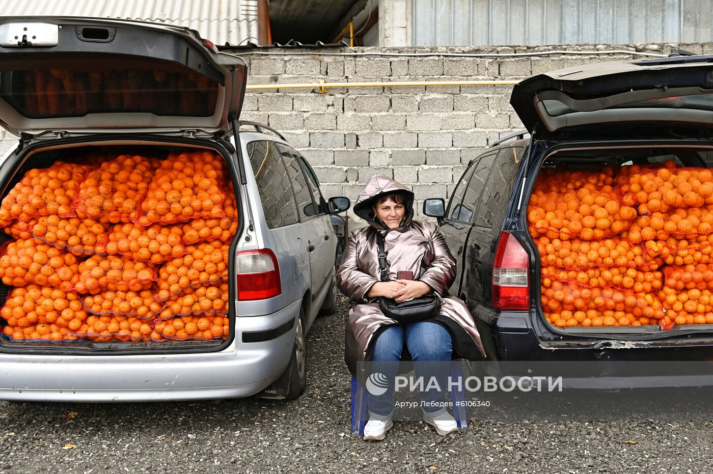 Продажа мандаринов на границе России и Абхазии