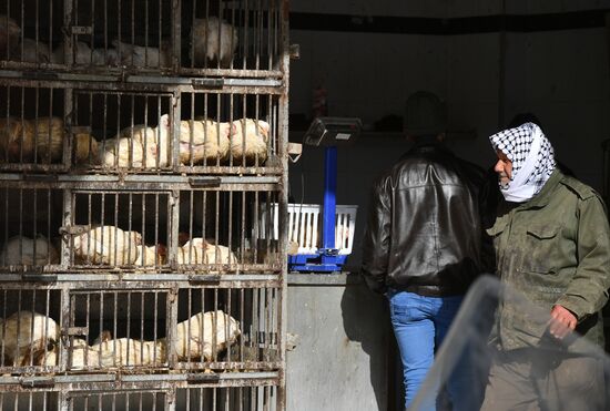 Город Дума в окрестностях Дамаска