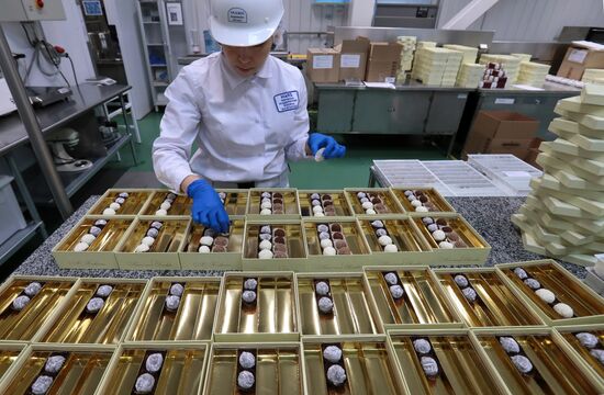 Производство шоколадных конфет на Одинцовской кондитерской фабрике